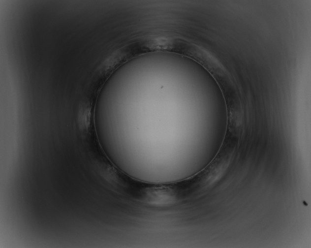 X0000100770652200806191242