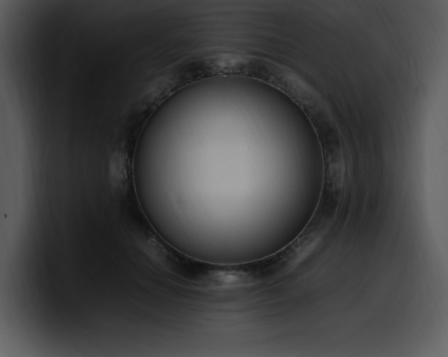 X0000100770654200806191242