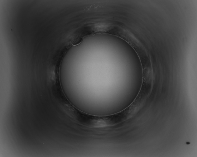 X0000100770655200806191242