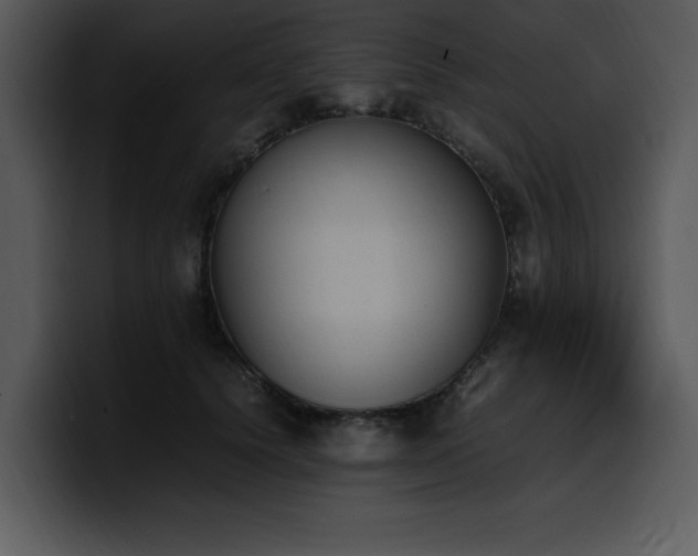 X0000100770656200806191242