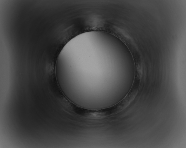 X0000100770657200806191242