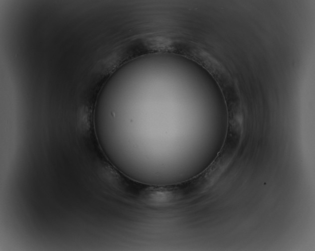 X0000100770658200806191242
