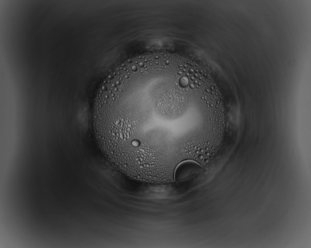 X0000100770659200806191242
