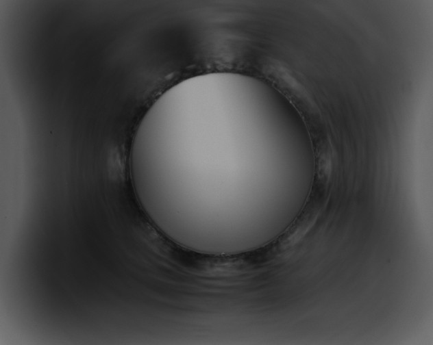 X0000100770661200806191242