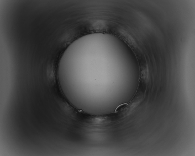 X0000100770662200806191242