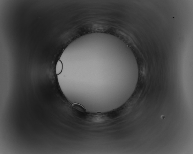 X0000100770663200806191242