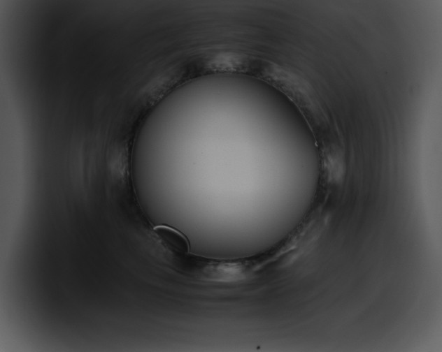X0000100770665200806191242