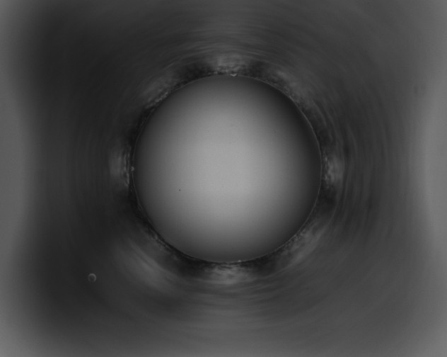 X0000100770666200806191242