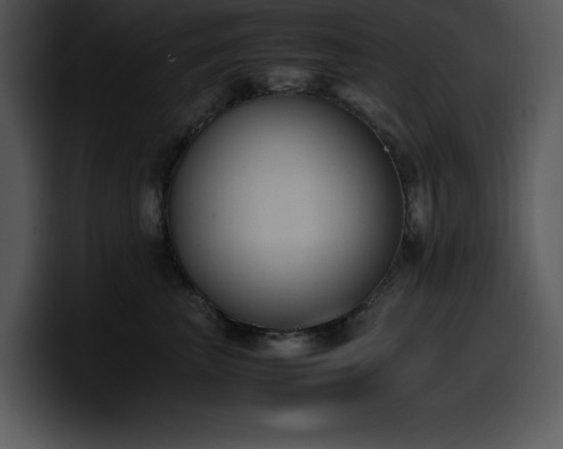 X0000100770667200806191242