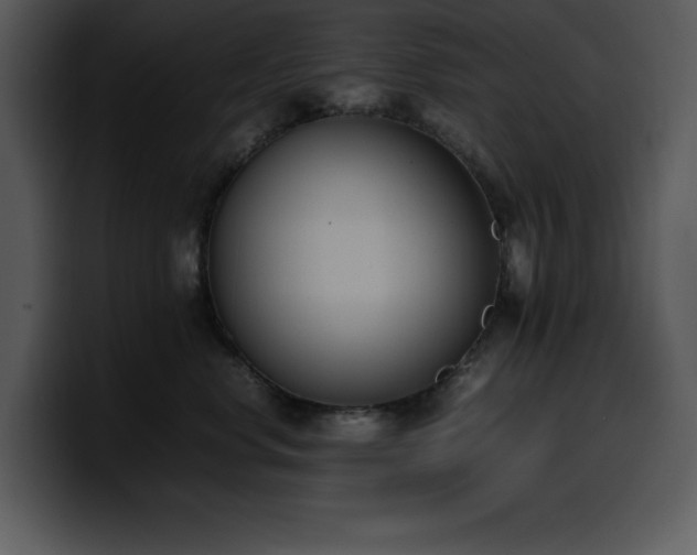 X0000100770668200806191242