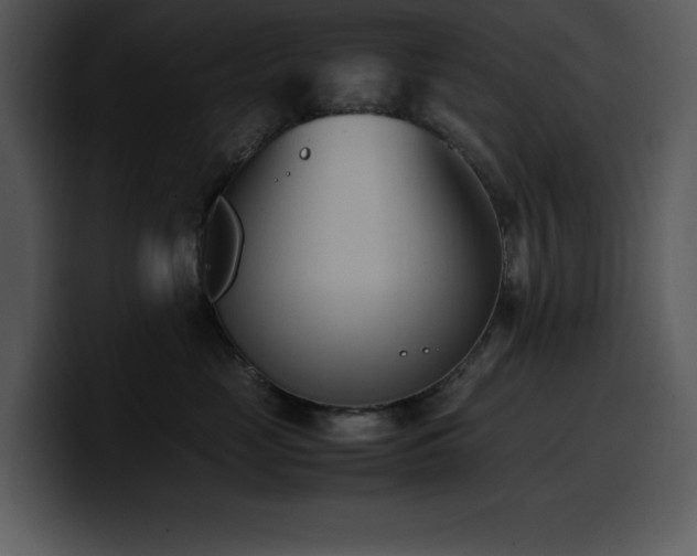 X0000100770669200806191242