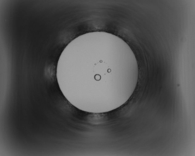 X0000100770672200806191242