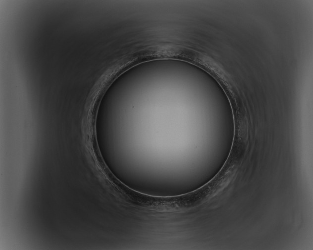 X0000100770673200806191242