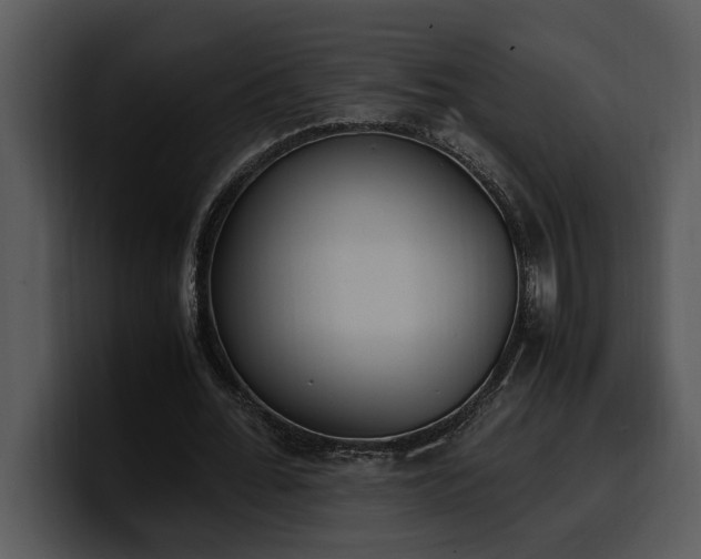 X0000100770676200806191242