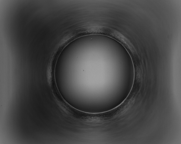 X0000100770677200806191241