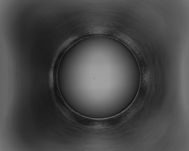 X0000100770678200806191241