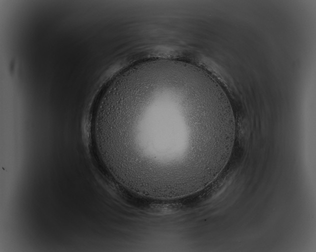 X0000100770679200806191241
