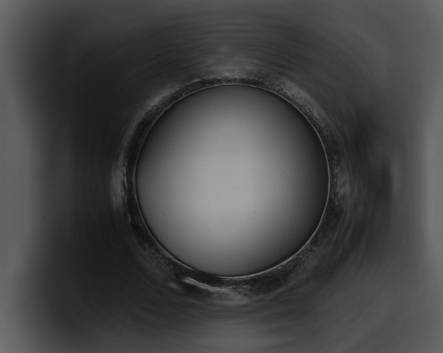 X0000100770680200806191241