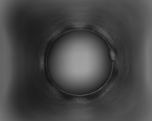 X0000100770681200806191241