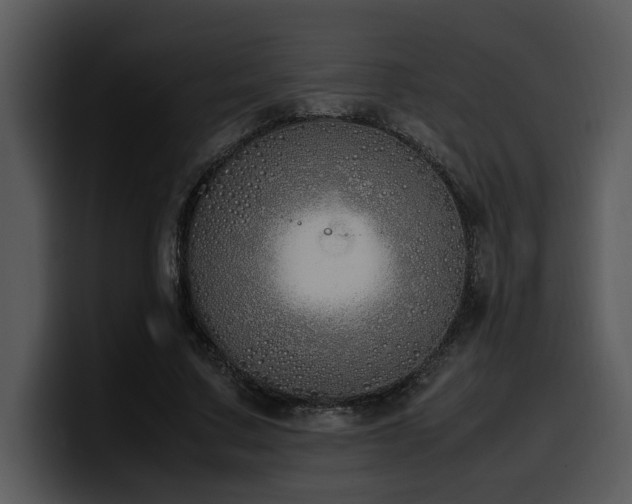 X0000100770683200806191241