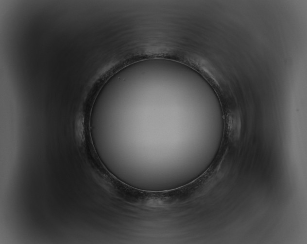 X0000100770684200806191241