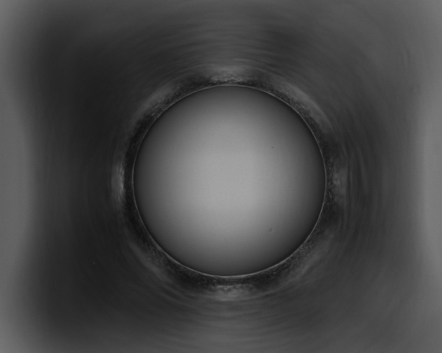 X0000100770686200806191241