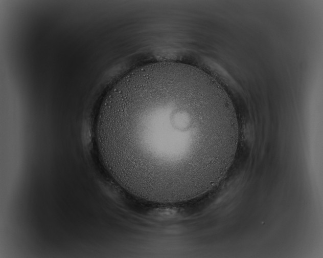X0000100770687200806191241