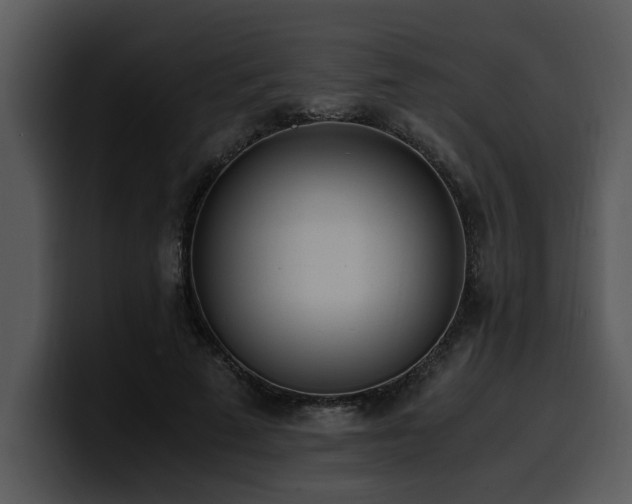 X0000100770689200806191241