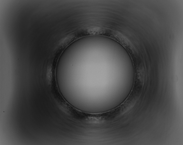 X0000100770690200806191241