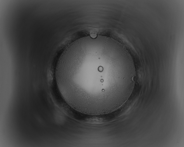 X0000100770691200806191241
