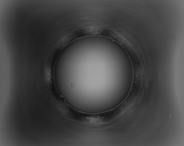 X0000100770693200806191241