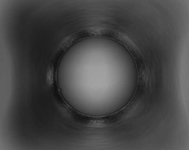 X0000100770694200806191241