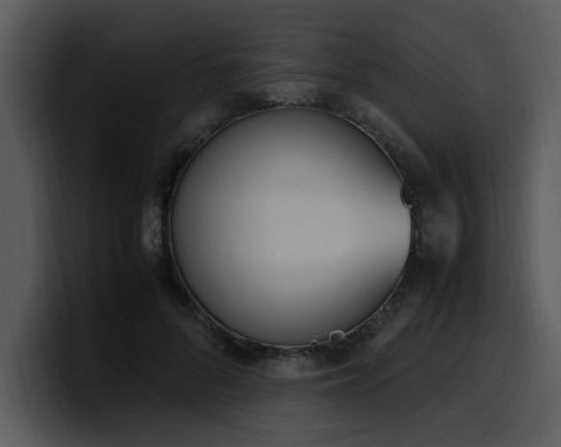 X0000100770696200806191241