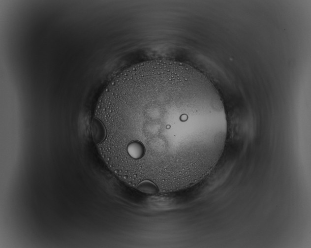 X0000100770699200806191241
