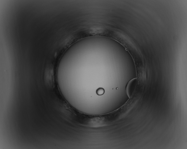 X0000100770700200806191241