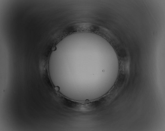 X0000100770701200806191241