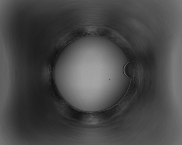 X0000100770702200806191241