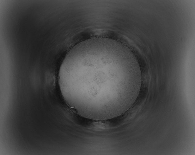 X0000100770703200806191241