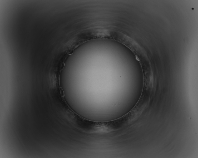 X0000100770704200806191241