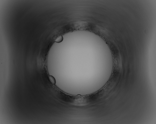 X0000100770705200806191241