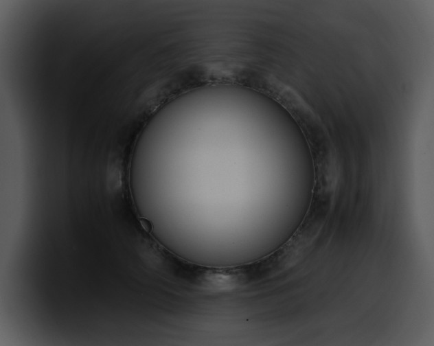 X0000100770706200806191241