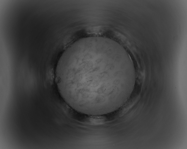 X0000100770707200806191241