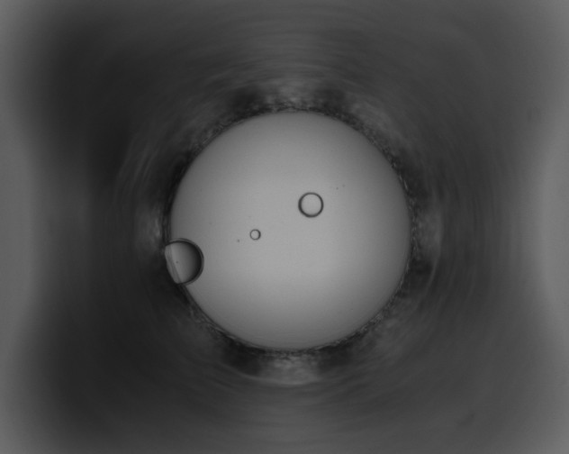 X0000100770709200806191241