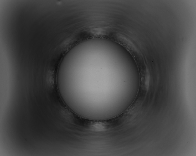 X0000100770710200806191241