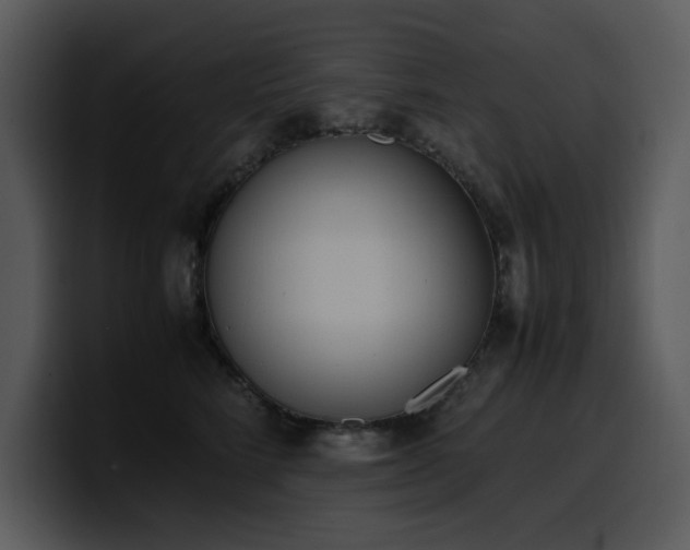 X0000100770712200806191241