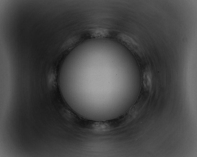 X0000100770714200806191241
