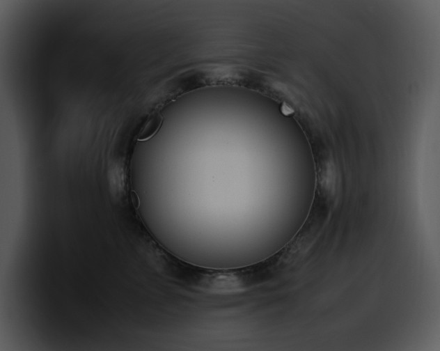 X0000100770715200806191241