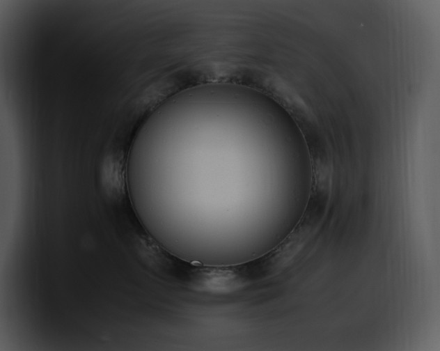 X0000100770719200806191241