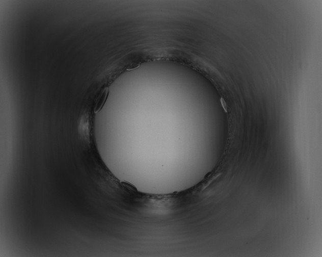 X0000100770720200806191241