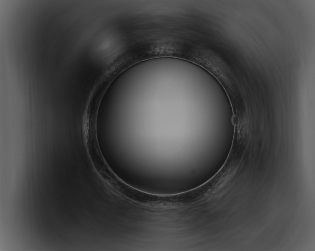 X0000100770722200806191240